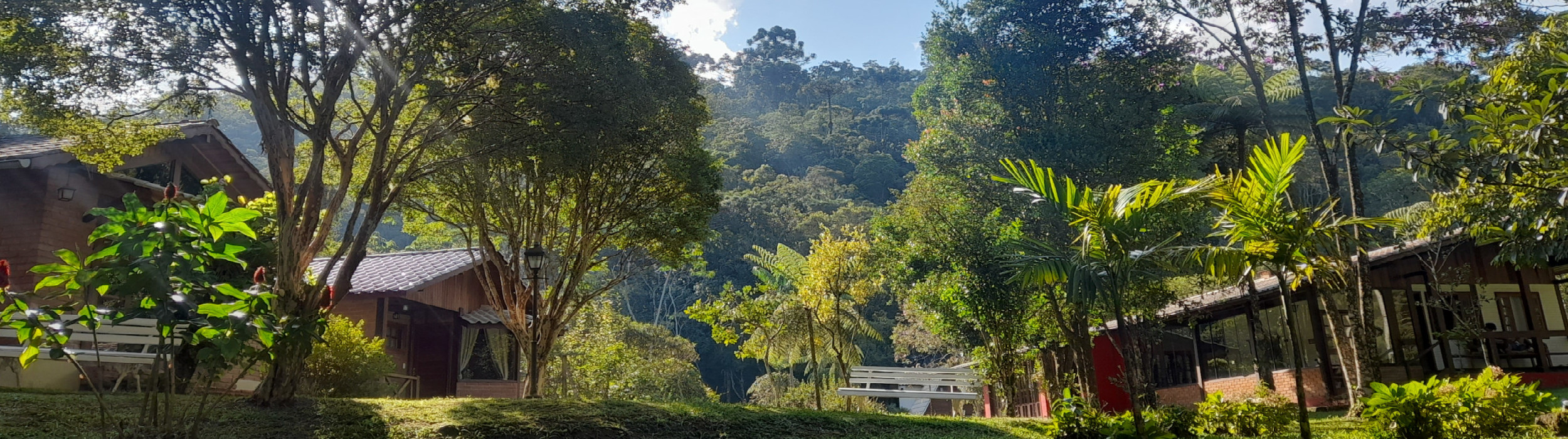 A Pousada - Pousada Bosque do Visconde