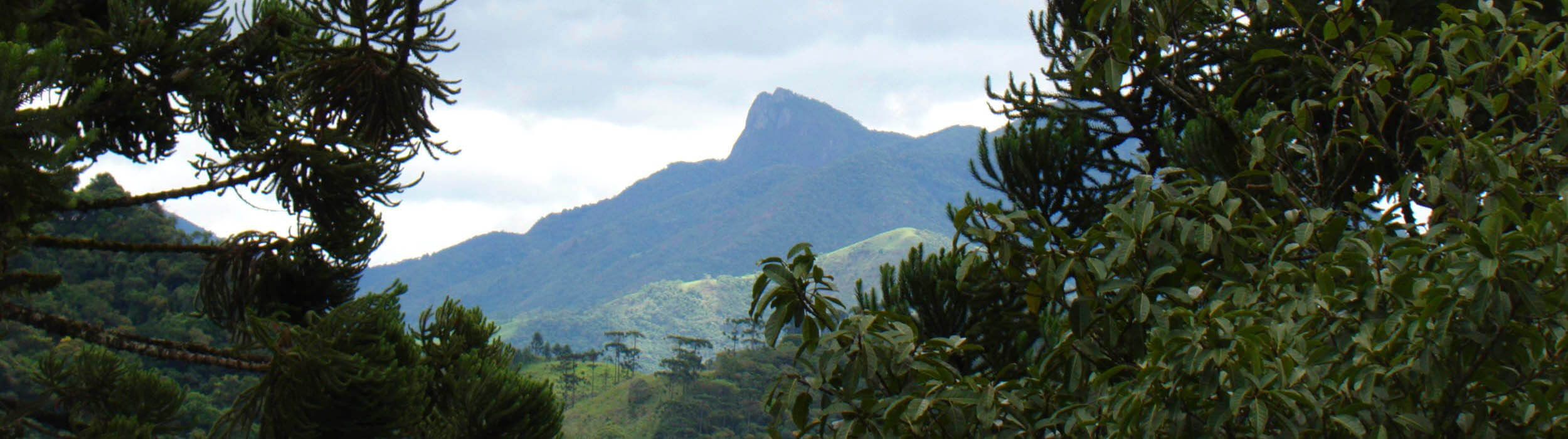 Turismo em Visconde de Mauá - Pousada Bosque do Visconde